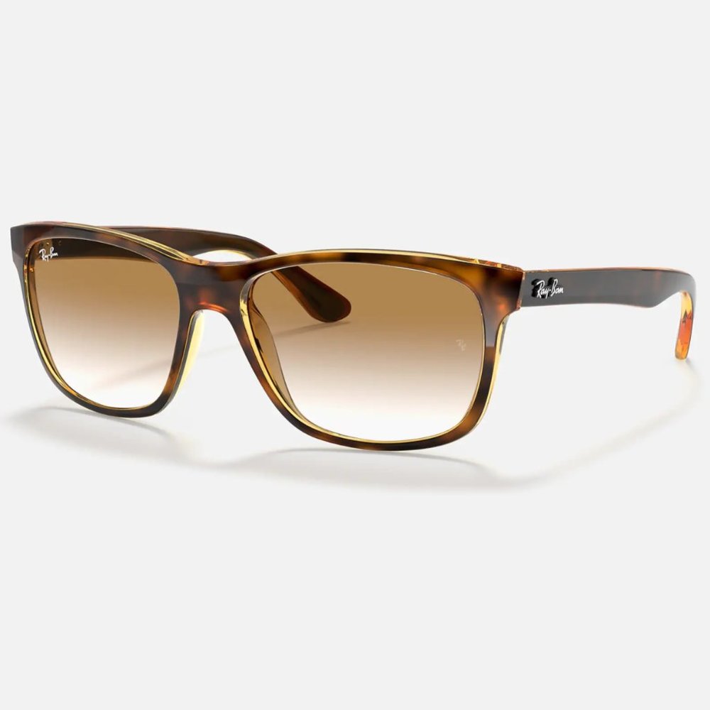Rayban rb4181 Tortoise Gradient Lense Sunglasses